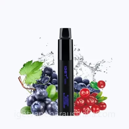 IGET Legend Disposable Vape 4000 Puffs Blueberry Berries Blackcurrant
