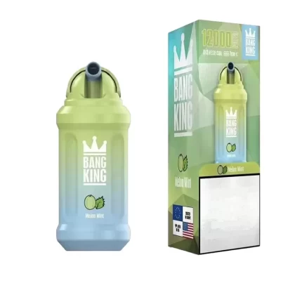 Bang King 12k Puffs Disposable Vape Wholesale High-Capacity Rechargeable Design