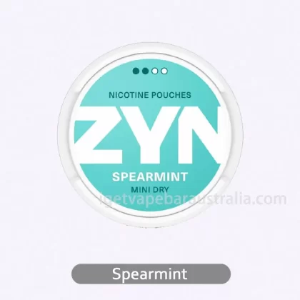 ZYN Mini Dry Spearmint 3MG – Smooth Spearmint Flavor for Daily Use
