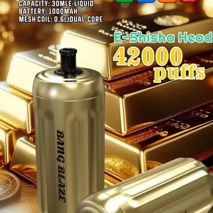 Bang Blaze 42000 Disposable Vape – 42,000 Puffs, Rechargeable | Multiple Flavors