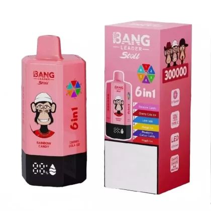 Bang Leader Stoll 300K Puffs Disposable Vape Wholesale | 6-in-1 Option switch, Mesh Coil, Rechargeable