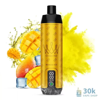 Aivono Fatman Pro 15000 Puffs Disposable Vape | Rechargeable DTL Device