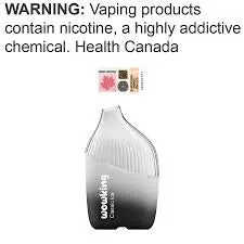 Wowking Disposable Classic ICE