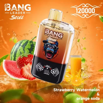Bang Leader 120K Puffs Disposable Vape Wholesale | 2-in-1 Dual Option, 60ml Capacity
