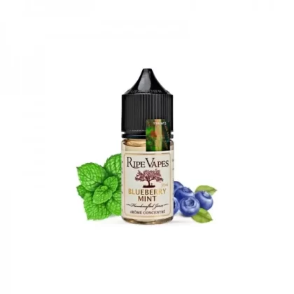 سالت بلوبری نعناع رایپ ویپز | RIPE VAPES BLUEBERRY MINT