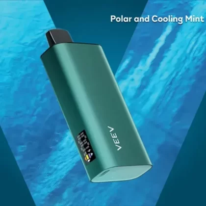Veev Now 8000 Puffs Disposable Vape - Ice Mint