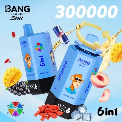 Bang Leader 300k Puffs 6in1 Disposable Vape