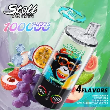 Bang 100K Disposable Vape – 100,000 Puffs, Rechargeable with Multiple Flavors