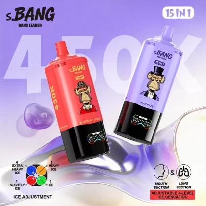 Bang Leader 450K Puffs Disposable Vape 15 in 1 Flavor