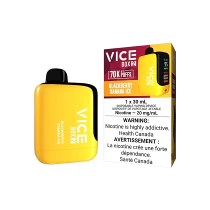 VICE BOX 2 Disposable - Blackberry Banana Ice (ON)