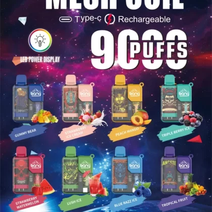 Bang BC9000 9k Puff Disposable Vape Wholesale Lightweight Cost-Effective