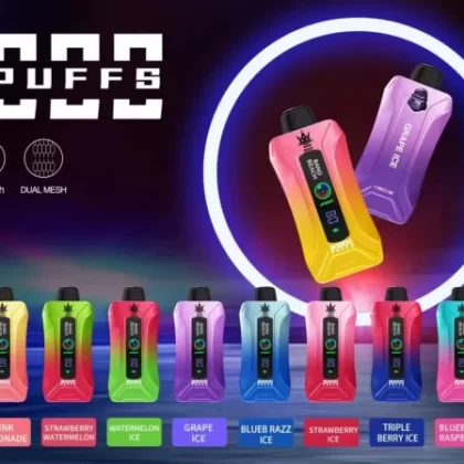 Bang Beach 20000 Puff Disposable Vape Wholesale Ultra-Portable Long-Lasting Battery Consistent Performance High Capacity