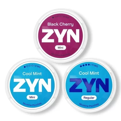 ZYN Regular Nicotine Pouches | Tobacco- Nicotine Pouches