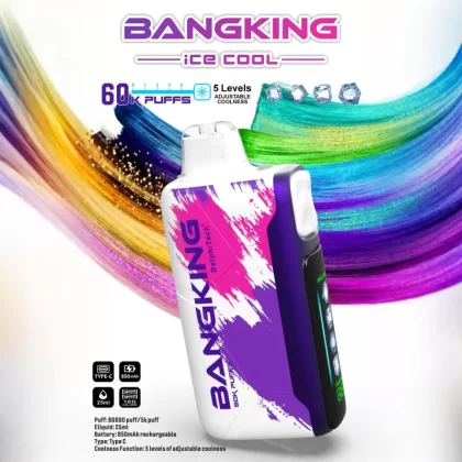Bang King Ice Cool 60K Puffs Disposable Vape Wholesale | LED Display, Adjustable Cooling