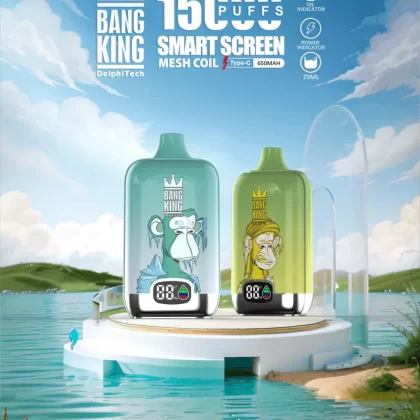 Bang King Smartscreen 15K Puffs Disposable Vape Wholesale | 25ml Capacity, Rechargeable, Smart Display, 650mAh Battery