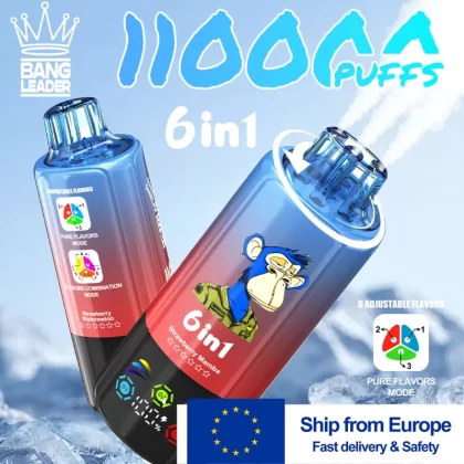 Bang Leader 110K EU Disposable Vape | 110,000 Puffs 6-in-1 Flavor Switch | Ships from European Warehouse