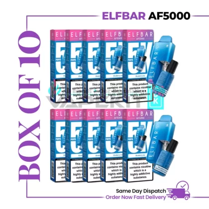 AF5000 ELF BAR Blueberry Ice Prefilled Vape Kit