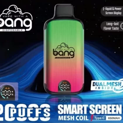 Bang King 20K Puffs Disposable Vape Wholesale | 25ml Capacity, Dual Mesh Coil, Type-C Rechargeable, LED Display