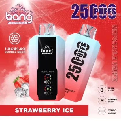 Bang 25K 25000 Puffs Disposable Vape