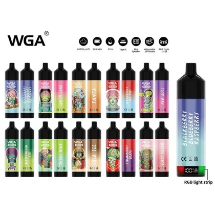 WGA 40k Puffs Disposable Vape Wholesale Rechargeable High Capacity Bold Fruity Options 2 Percent 5 Percent Strength option